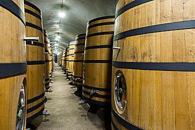 《真女神转生5》恶魔介绍：日本地母神菊理媛